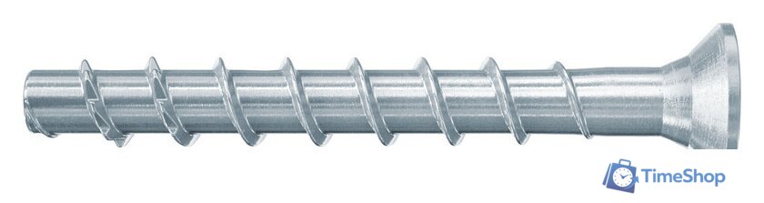 Шуруп Fischer FBS II 546385 (100 шт) - Изображение №1 — Интернет-магазин Time-Shop