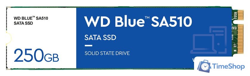 SSD WD Blue 250GB WDS250G3B0B - Изображение №1 — Интернет-магазин Time-Shop