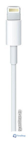Кабель Apple USB 2.0 Type-C - Lightning (1 м, белый) - Изображение №3 — Интернет-магазин Time-Shop