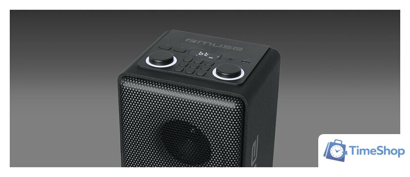 Патибокс Muse M-1808 DJ - Изображение №2 — Интернет-магазин Time-Shop