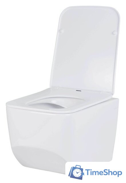 Унитаз подвесной Roxen Boro 530145-01 Rimless Soft Close - Изображение №10 — Интернет-магазин Time-Shop