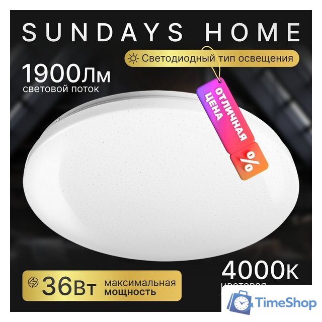 Припотолочная люстра Sundays Home 240924-5 5719 - Изображение №1 — Интернет-магазин Time-Shop