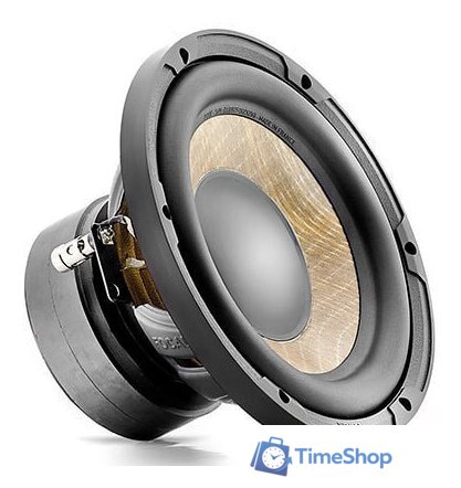 Головка сабвуфера Focal P 20 FE - Изображение №2 — Интернет-магазин Time-Shop
