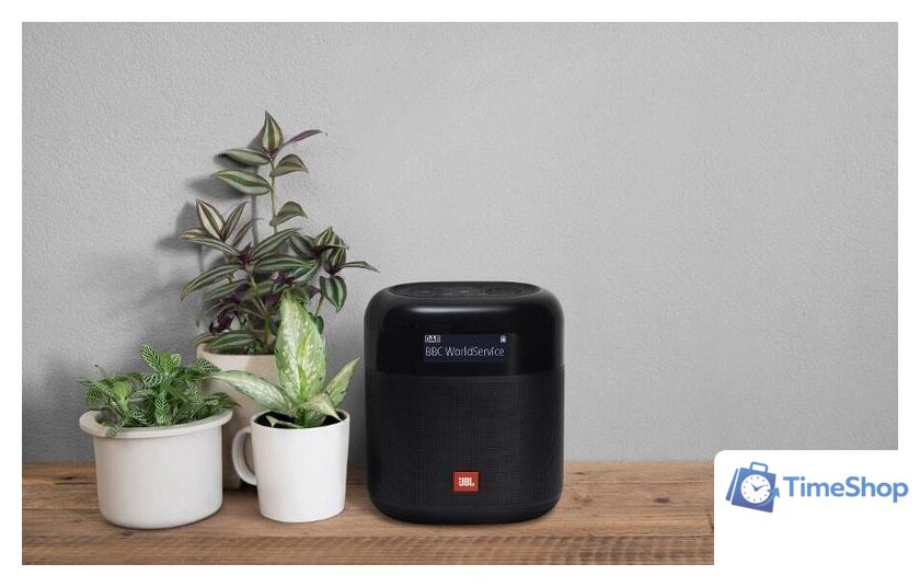 Радиоприемник JBL Tuner XL - Изображение №5 — Интернет-магазин Time-Shop