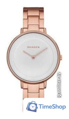 Наручные часы Skagen SKW2331 - Изображение №1 — Интернет-магазин Time-Shop
