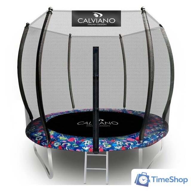 Батут Calviano Outside Master Smile 312 см - 10ft (внешняя сетка, с лестницей) - Изображение №1 — Интернет-магазин Time-Shop
