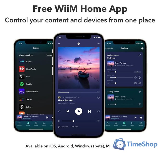 Сетевой интегральный усилитель WiiM Amp (серебристый) - Изображение №7 — Интернет-магазин Time-Shop