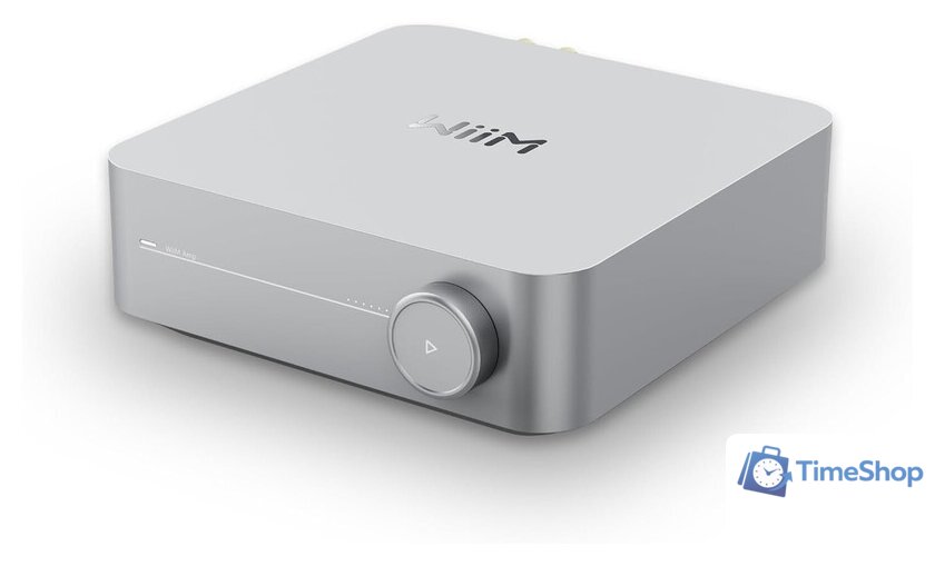 Сетевой интегральный усилитель WiiM Amp (серебристый) - Изображение №2 — Интернет-магазин Time-Shop