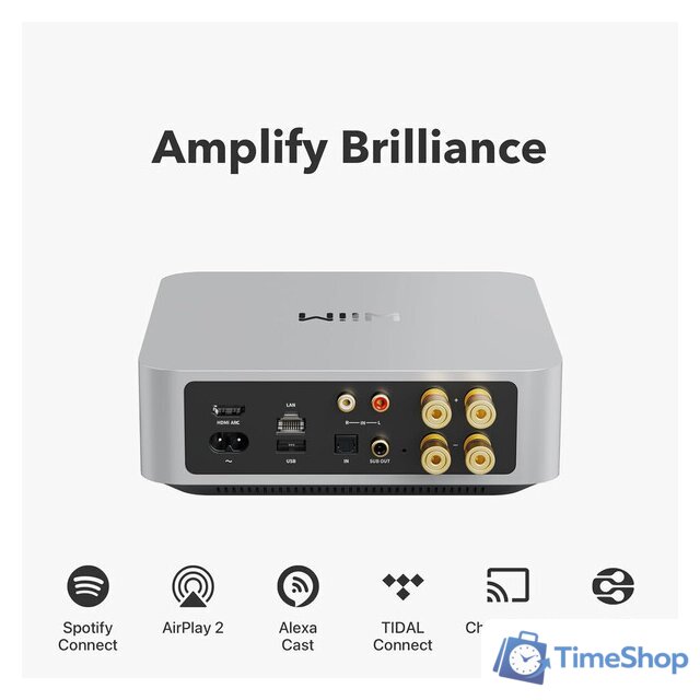Сетевой интегральный усилитель WiiM Amp (серебристый) - Изображение №3 — Интернет-магазин Time-Shop