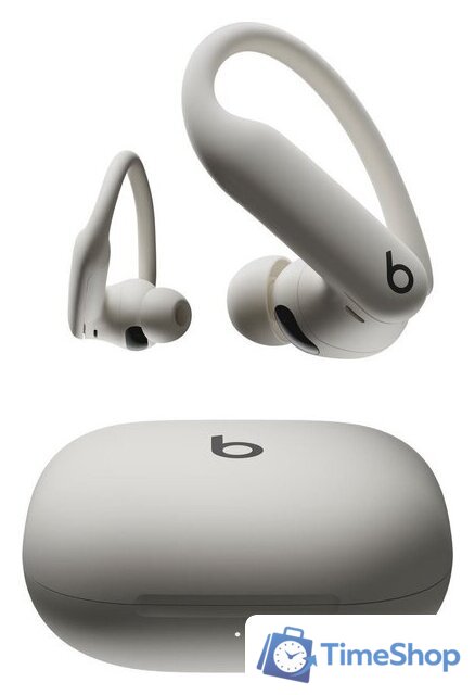 Наушники Beats Powerbeats Pro 2 (серый) - Изображение №1 — Интернет-магазин Time-Shop