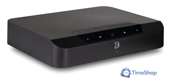 Сетевой усилитель Bluesound Powernode Edge (черный) - Изображение №2 — Интернет-магазин Time-Shop