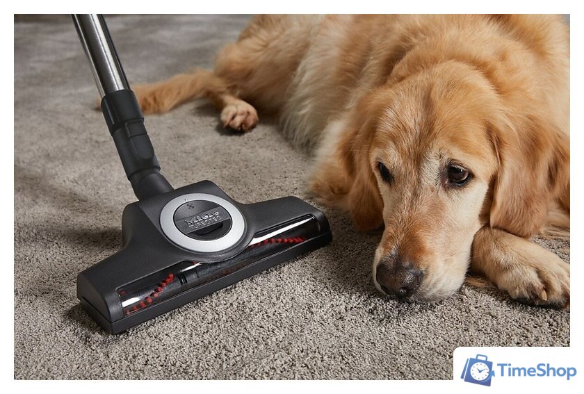 Пылесос Miele Blizzard CX1 Cat & Dog PowerLine SKCF3 - Изображение №6 — Интернет-магазин Time-Shop