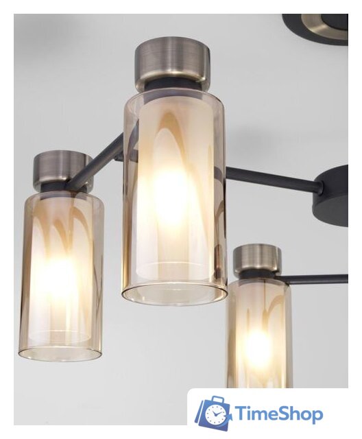 Припотолочная люстра Евросвет 70115/6 (черный) - Изображение №2 — Интернет-магазин Time-Shop