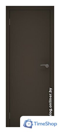 Межкомнатная дверь Та самая дверь Л 3 100x210 (графит) - Изображение №1 — Интернет-магазин Time-Shop