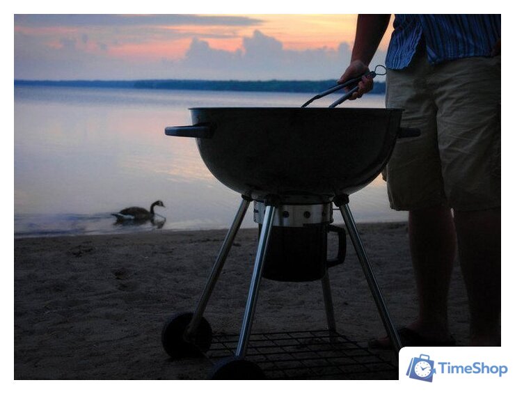 Гриль Napoleon PRO22K - Изображение №5 — Интернет-магазин Time-Shop