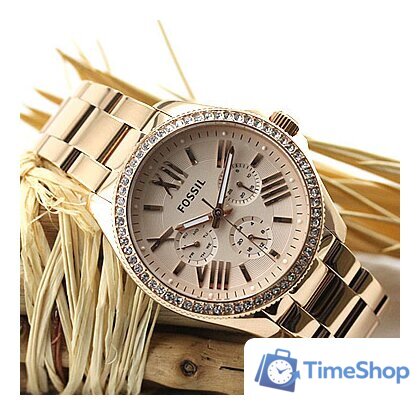 Наручные часы Fossil AM4483 - Изображение №11 — Интернет-магазин Time-Shop
