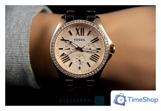 Наручные часы Fossil AM4483 - Изображение №15 — Интернет-магазин Time-Shop