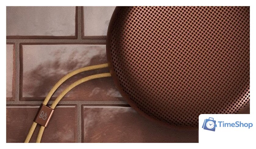 Беспроводная колонка Bang & Olufsen Beosound A1 3rd Gen (rustic red) - Изображение №5 — Интернет-магазин Time-Shop