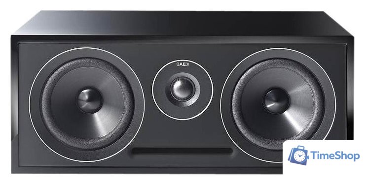 Полочная акустика Acoustic Energy AE307 (черный) - Изображение №1 — Интернет-магазин Time-Shop