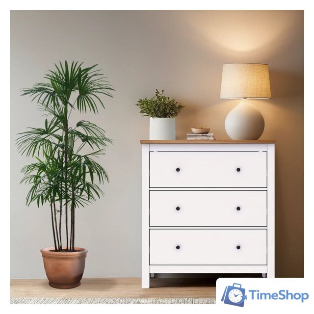 Комод Mio Tesoro Сага 2.08.02.020.14 (белый/ясень) - Изображение №3 — Интернет-магазин Time-Shop