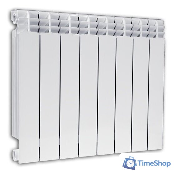 Биметаллический радиатор Fondital BM Alustal 500/100 V90103408 (8 секций) - Изображение №2 — Интернет-магазин Time-Shop