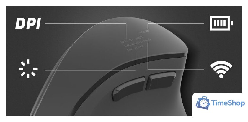 Вертикальная мышь Natec Euphonie - Изображение №12 — Интернет-магазин Time-Shop