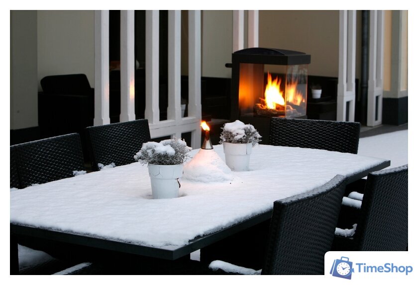 Биокамин Faber theBUZZ - Изображение №10 — Интернет-магазин Time-Shop