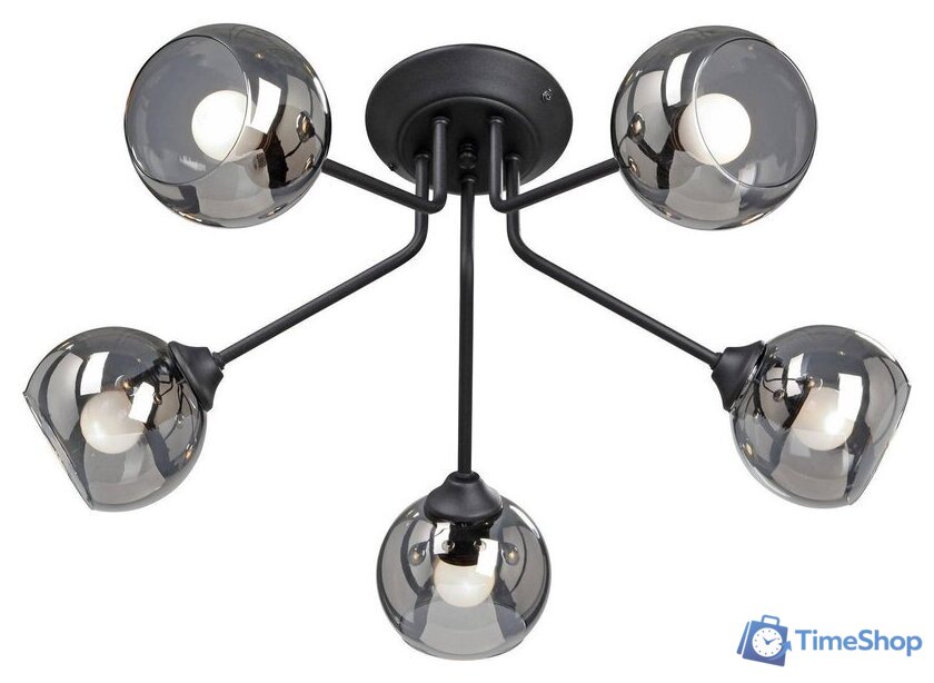 Люстра средней высоты Vitaluce V4724-1/5PL - Изображение №2 — Интернет-магазин Time-Shop