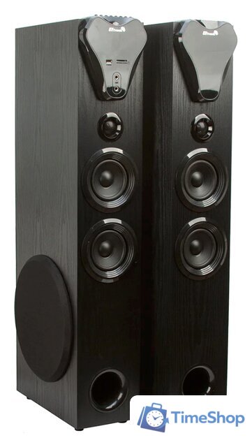Акустика Eltronic 20-80 Home Sound (черный) - Изображение №1 — Интернет-магазин Time-Shop