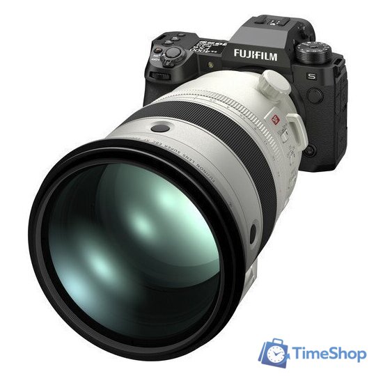 Беззеркальный фотоаппарат Fujifilm X-H2s Body - Изображение №16 — Интернет-магазин Time-Shop
