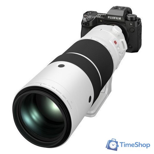 Беззеркальный фотоаппарат Fujifilm X-H2s Body - Изображение №17 — Интернет-магазин Time-Shop