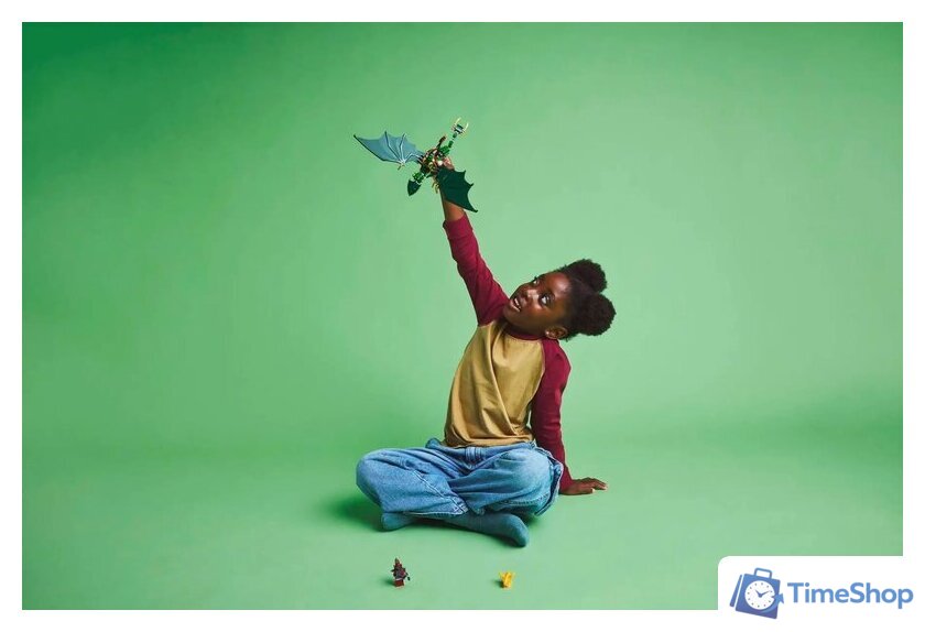 Конструктор LEGO Ninjago 71829 Зеленый лесной дракон Ллойда - Изображение №9 — Интернет-магазин Time-Shop