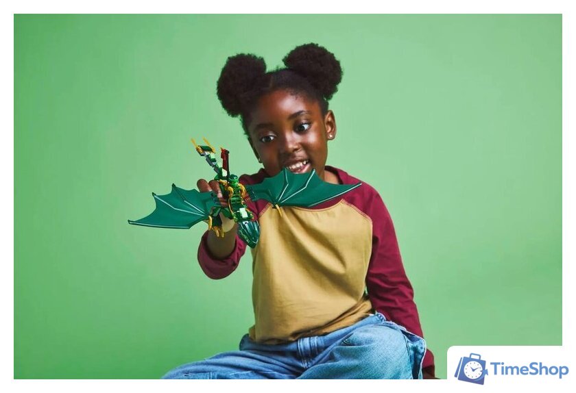 Конструктор LEGO Ninjago 71829 Зеленый лесной дракон Ллойда - Изображение №8 — Интернет-магазин Time-Shop