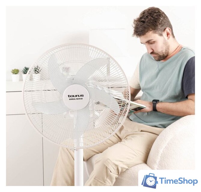 Вентилятор Taurus Boreal 16CR GO 944678000 - Изображение №5 — Интернет-магазин Time-Shop