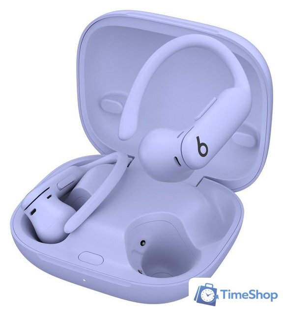 Наушники Beats Powerbeats Pro 2 (сиреневый) - Изображение №2 — Интернет-магазин Time-Shop