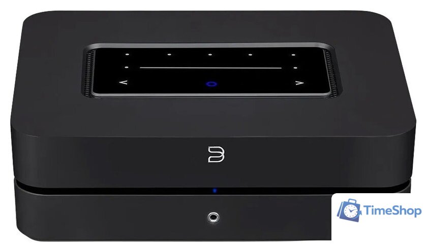 Сетевой усилитель Bluesound Powernode (черный) - Изображение №1 — Интернет-магазин Time-Shop