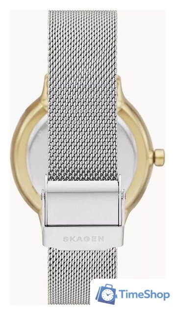 Наручные часы Skagen Riis SKW2912 - Изображение №2 — Интернет-магазин Time-Shop