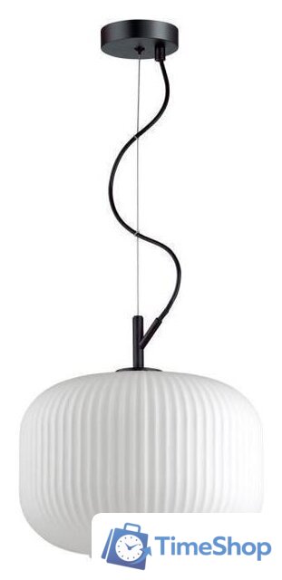 Подвесная люстра Odeon Light Roofi 4754/1 - Изображение №1 — Интернет-магазин Time-Shop