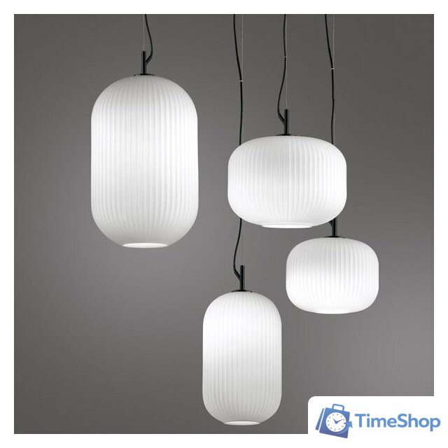 Подвесная люстра Odeon Light Roofi 4754/1 - Изображение №4 — Интернет-магазин Time-Shop