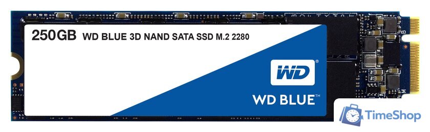 SSD WD Blue 3D NAND 500GB WDS500G2B0B - Изображение №1 — Интернет-магазин Time-Shop
