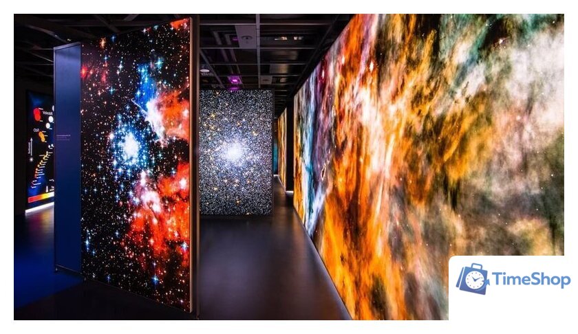 Проектор Optoma ZU820TST - Изображение №5 — Интернет-магазин Time-Shop