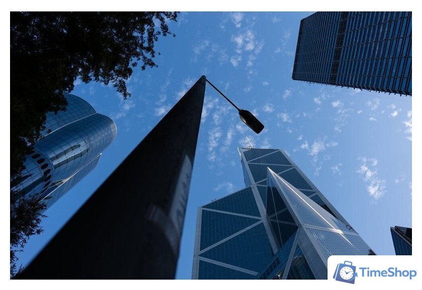 Объектив Panasonic Lumix S 28-200mm F/4-7.1 Macro O.I.S. - Изображение №14 — Интернет-магазин Time-Shop