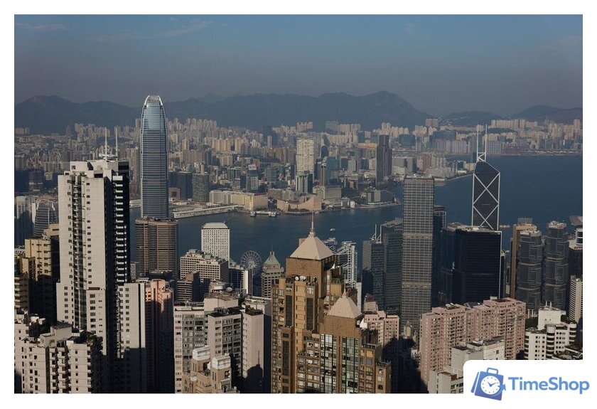 Объектив Panasonic Lumix S 28-200mm F/4-7.1 Macro O.I.S. - Изображение №15 — Интернет-магазин Time-Shop