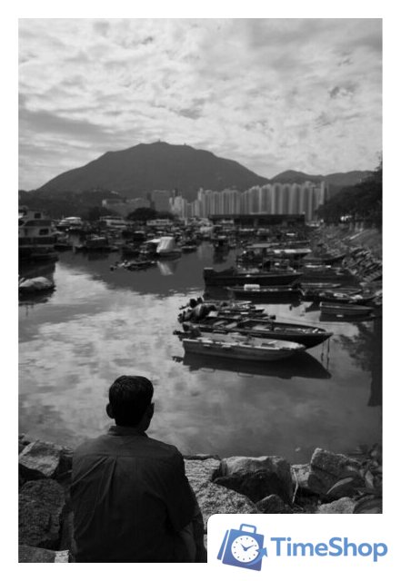 Объектив Panasonic Lumix S 28-200mm F/4-7.1 Macro O.I.S. - Изображение №11 — Интернет-магазин Time-Shop