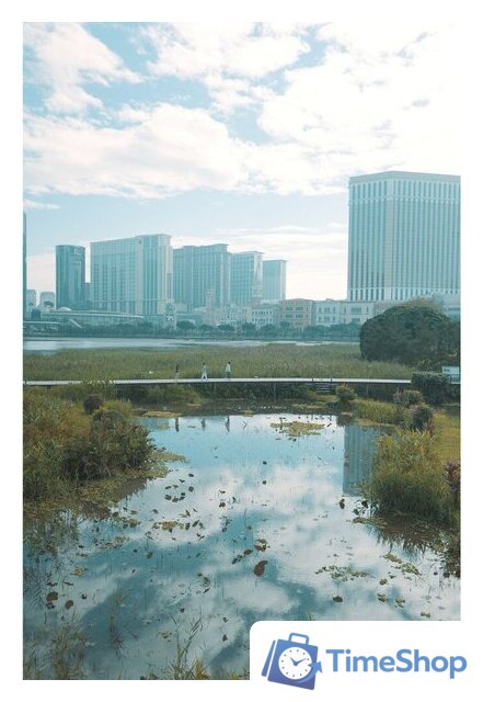 Объектив Panasonic Lumix S 28-200mm F/4-7.1 Macro O.I.S. - Изображение №12 — Интернет-магазин Time-Shop