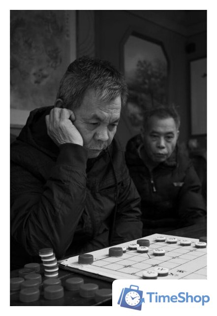 Объектив Panasonic Lumix S 28-200mm F/4-7.1 Macro O.I.S. - Изображение №13 — Интернет-магазин Time-Shop