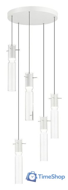 Подвесная люстра Odeon Light Scrow 5058/25LB - Изображение №2 — Интернет-магазин Time-Shop