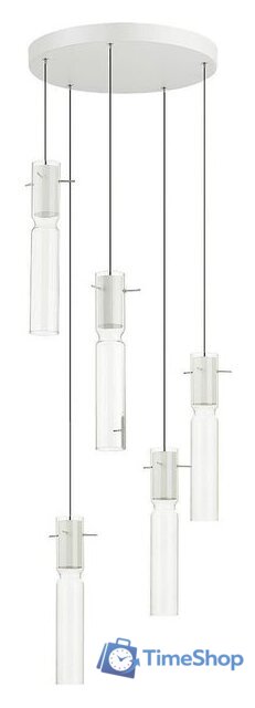 Подвесная люстра Odeon Light Scrow 5058/25LB - Изображение №1 — Интернет-магазин Time-Shop