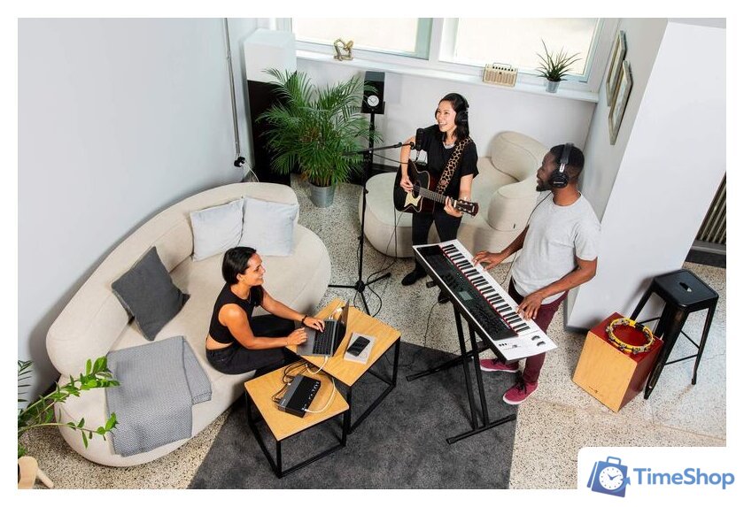  Steinberg UR44C - Изображение №4 — Интернет-магазин Time-Shop