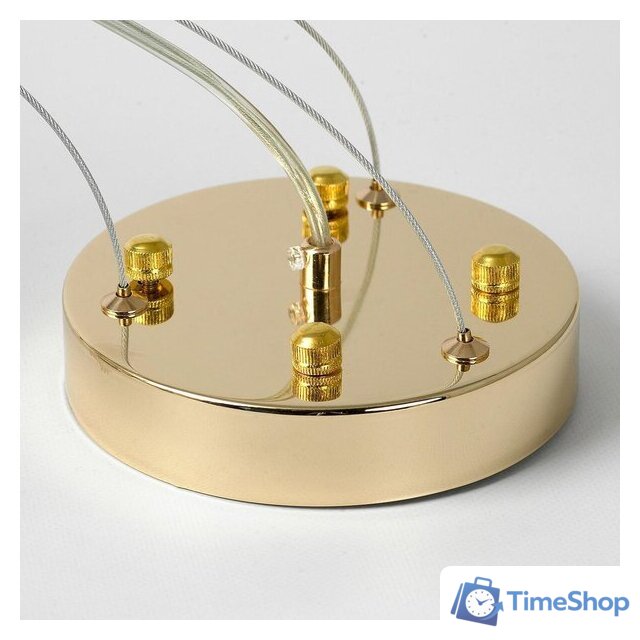 Подвесная люстра Lussole Duval LSP-8857 - Изображение №5 — Интернет-магазин Time-Shop